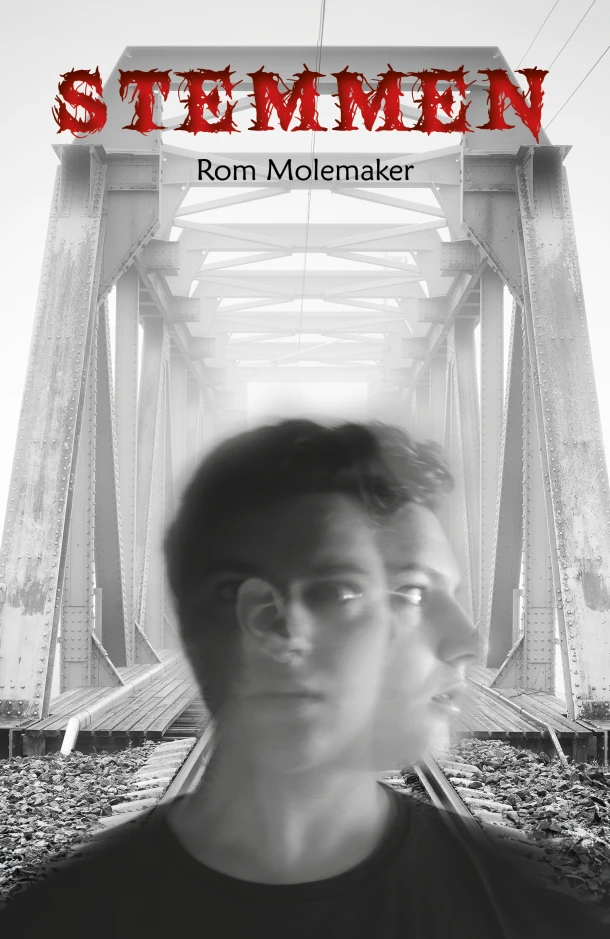 Stemmen – Rom Molemaker – boek cover