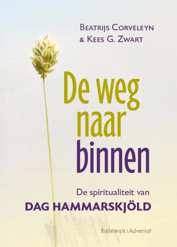 De weg naar binnen – Beatrijs Corveleyn – boek cover