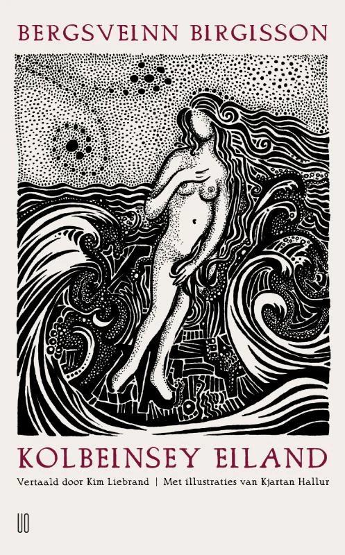 Kolbeinseiland – Bergsveinn Birgisson – boek cover