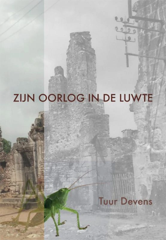 Zijn oorlog in de luwte – Tuur Devens – boek cover