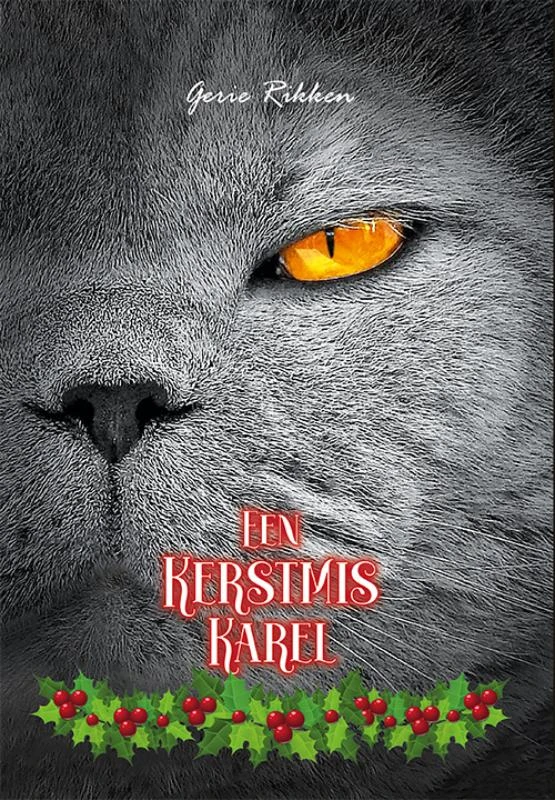 Een Kerstmis Karel – Gerie Rikken – boek cover