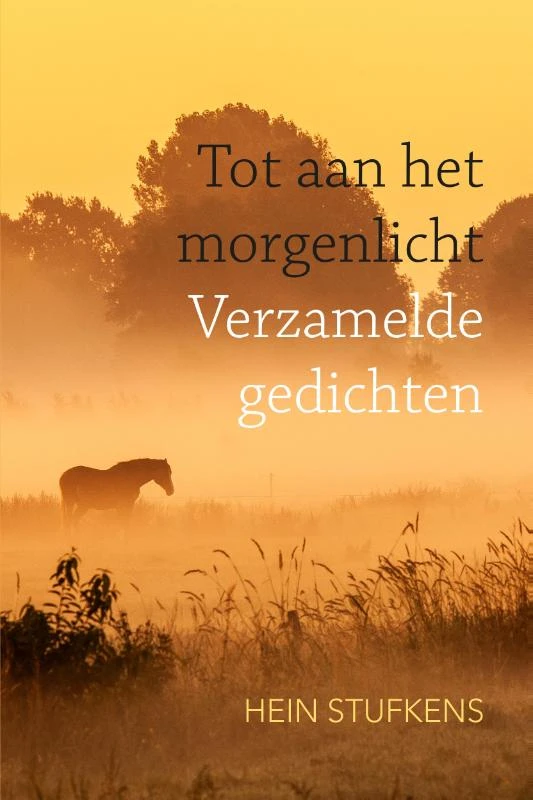 Tot aan het morgenlicht – Hein Stufkens – boek cover