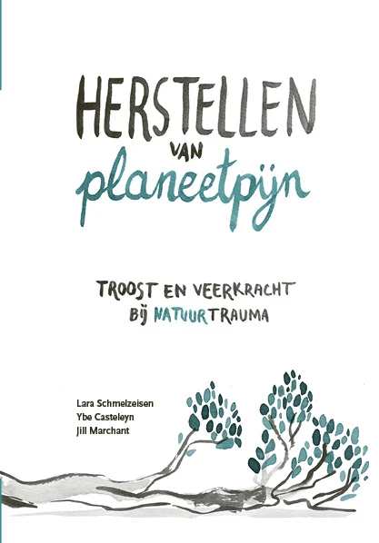 Herstellen van planeetpijn – Ybe Casteleyn – boek cover