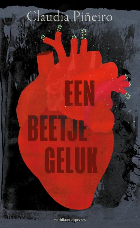 Een beetje geluk – Claudia Piñeiro – boek cover