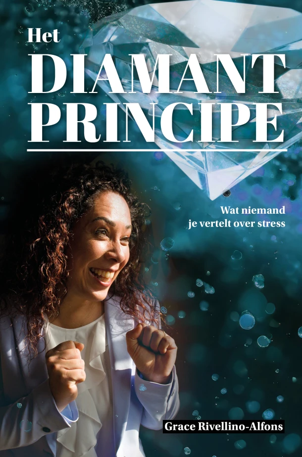 Het Diamantprincipe – Grace Rivellino – boek cover