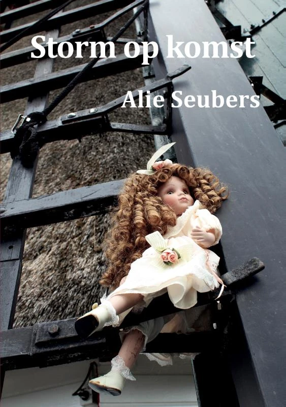 Storm op komst – Alie Seubers – boek cover