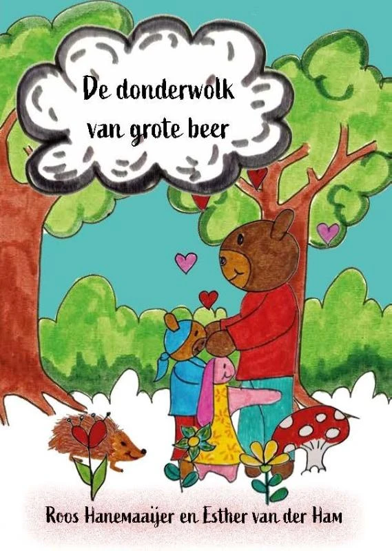 De donderwolk van grote beer – Roos Hanemaaijer – boek cover