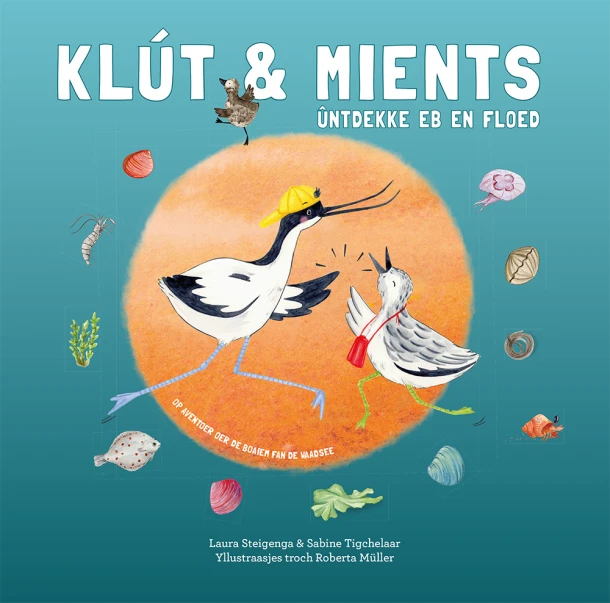 Klút & Mients ûntdekke eb en floed – Laura Steigenga – boek cover