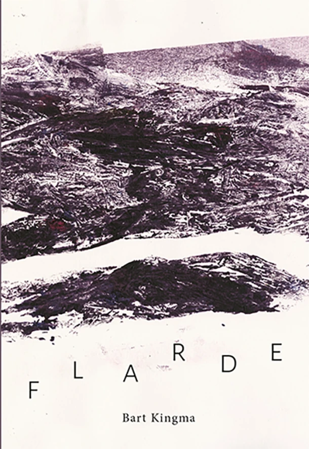 Flarde – Bart Kingma – boek cover