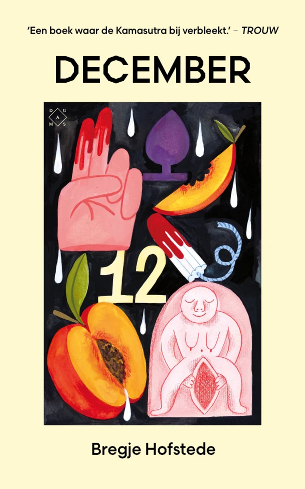 December – Bregje Hofstede – boek cover