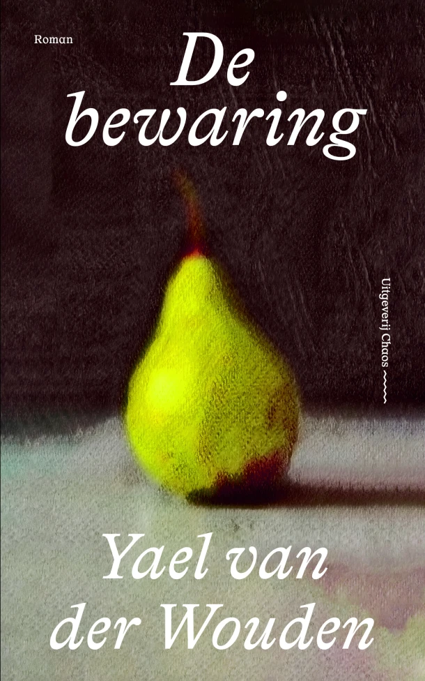 De bewaring – Yael van der Wouden – boek cover