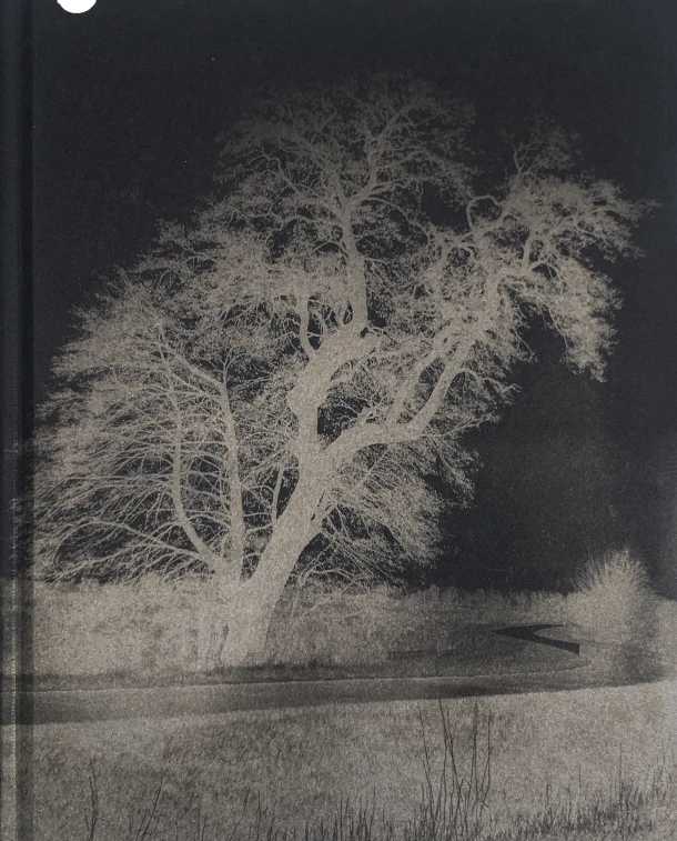 FELWA – Peter Svenson – boek cover
