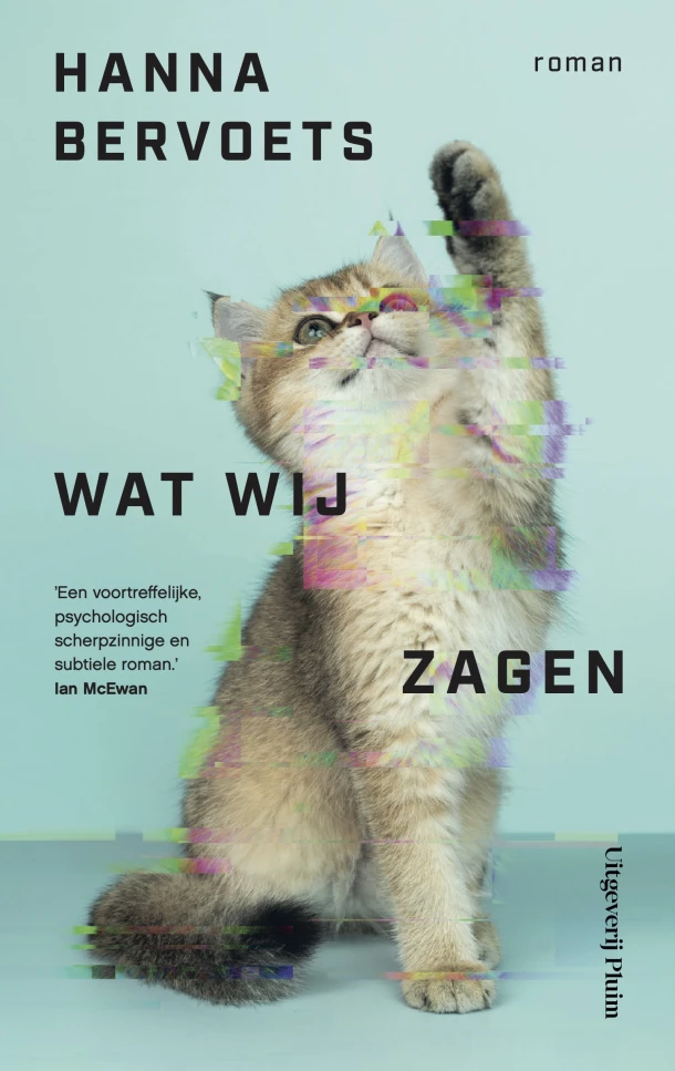 Wat wij zagen – Hanna Bervoets – boek cover