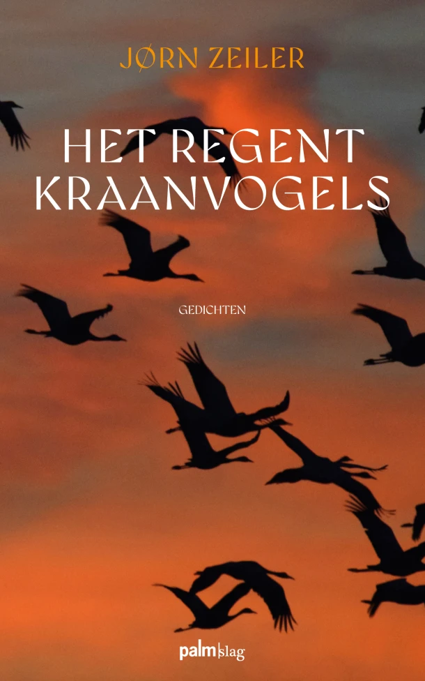 Het regent kraanvogels – Jørn Zeiler – boek cover