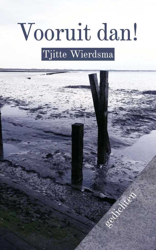 Vooruit dan – Tjitte Wierdsma – boek cover