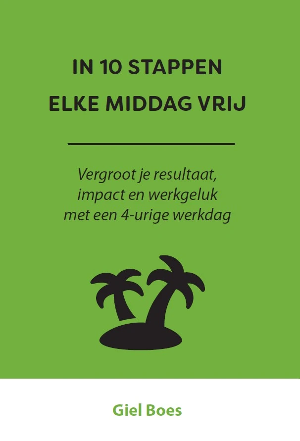 In 10 stappen elke middag vrij – Giel Boes – boek cover