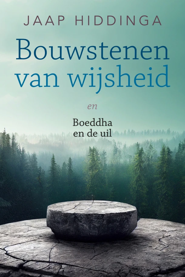 Bouwstenen van wijsheid – Jaap Hiddinga – boek cover