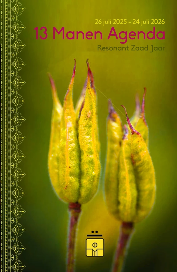 2025-2026 – Nicole E. Zonderhuis – boek cover