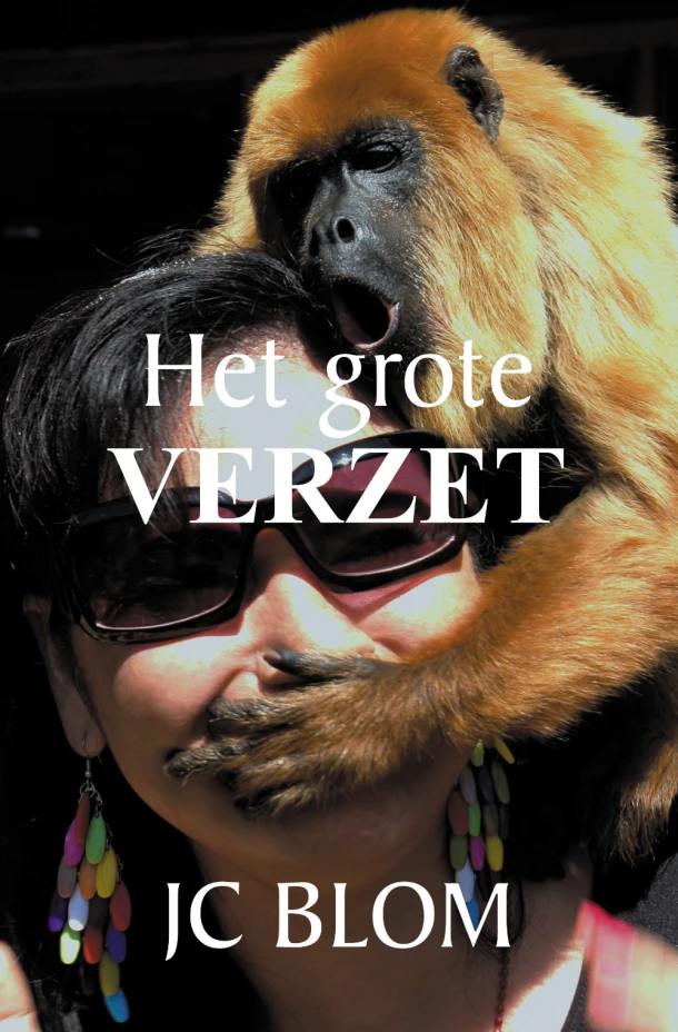 Het grote verzet – JC Blom – boek cover