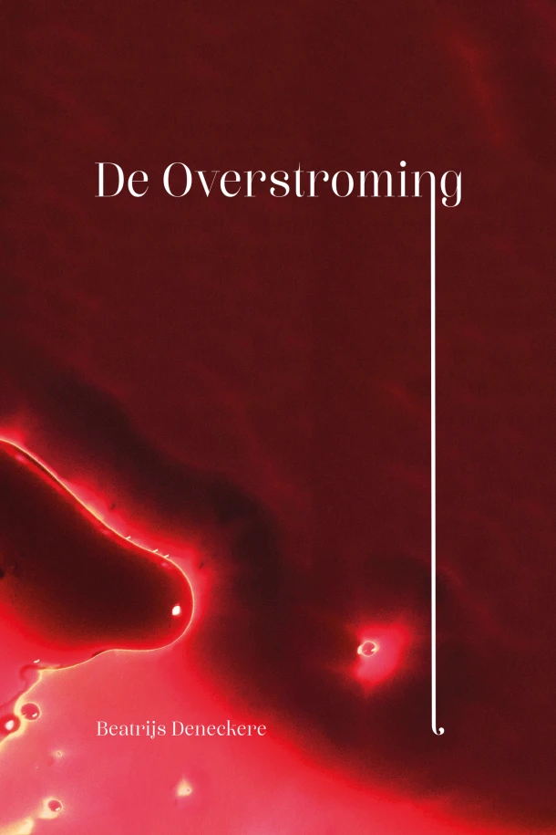 De overstroming – Beatrijs Deneckere – boek cover