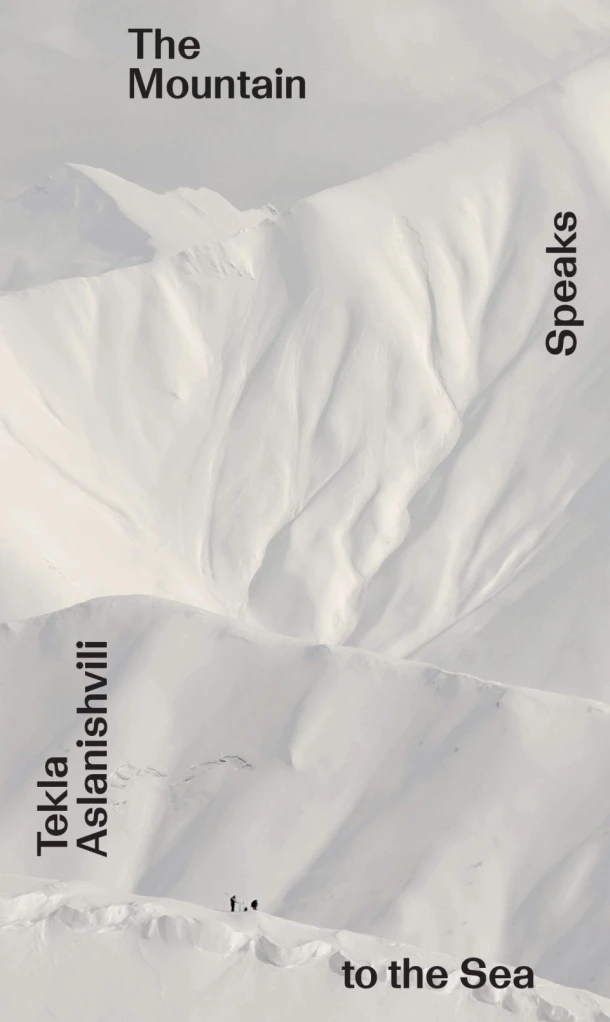 The Mountain Speaks to the Sea – Silvia Silvia Franceschini – boek cover