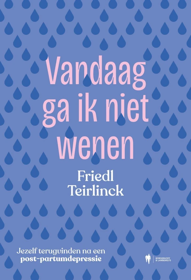 Vandaag ga ik niet wenen – Friedl Teirlinck – boek cover