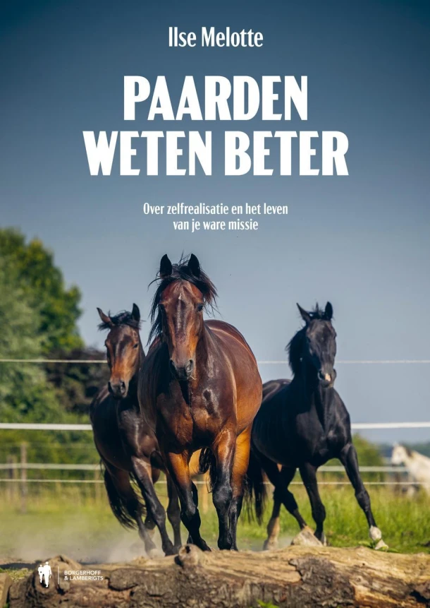 Paarden weten beter – Ilse Melotte – boek cover