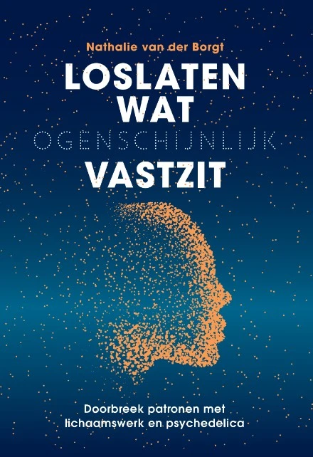 Loslaten wat ogenschijnlijk vastzit – Nathalie van der Borgt – boek cover