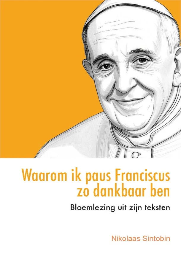 Waarom ik paus Franciscus zo dankbaar ben – Nikolaas Sintobin – boek cover
