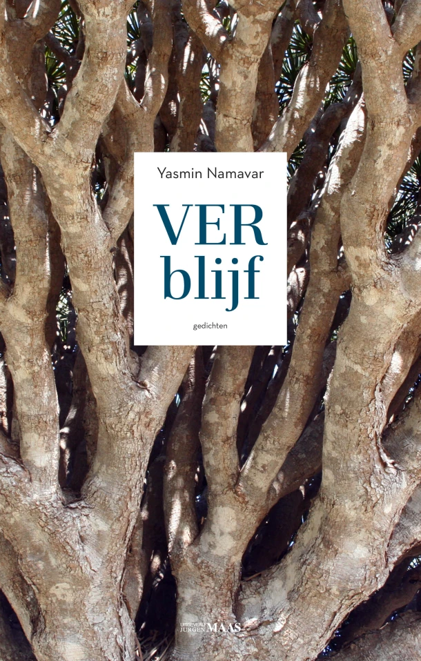 Verblijf – Yasmin Namavar – boek cover