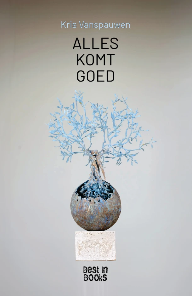 Alles komt goed – Kris Vanspauwen – boek cover