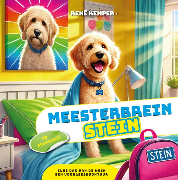 Meesterbrein Stein – René Kemper – boek cover
