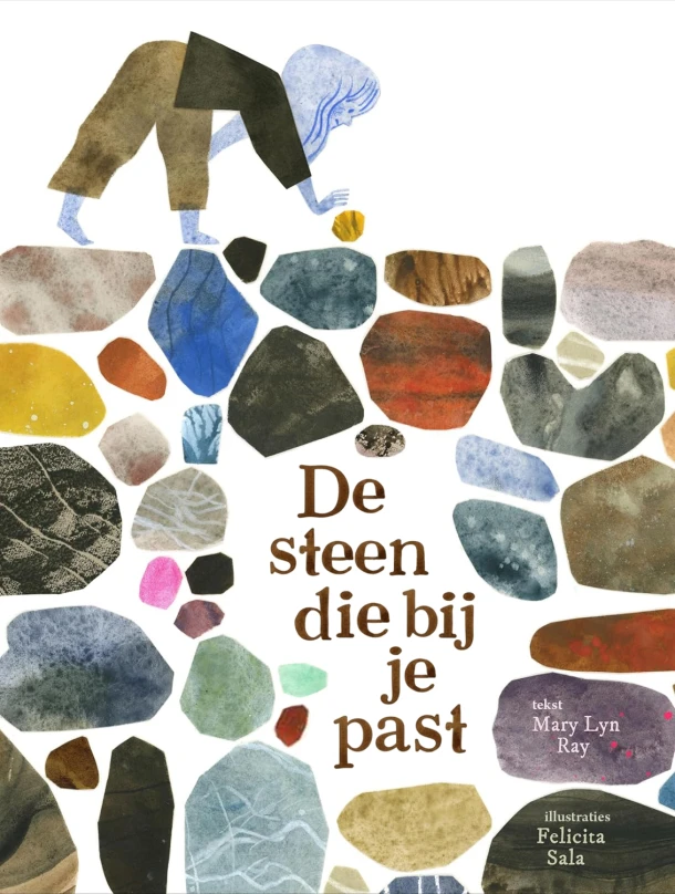 De steen die bij je past – Mary Lyn Ray – boek cover