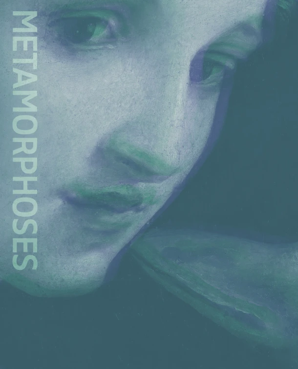 Metamorphoses ¿ Ovid and the Arts – Francesca Cappelletti – boek cover