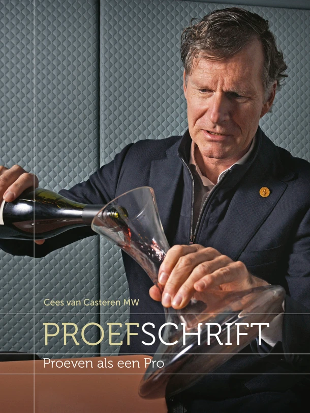 Proefschrift – Cees van Casteren – boek cover