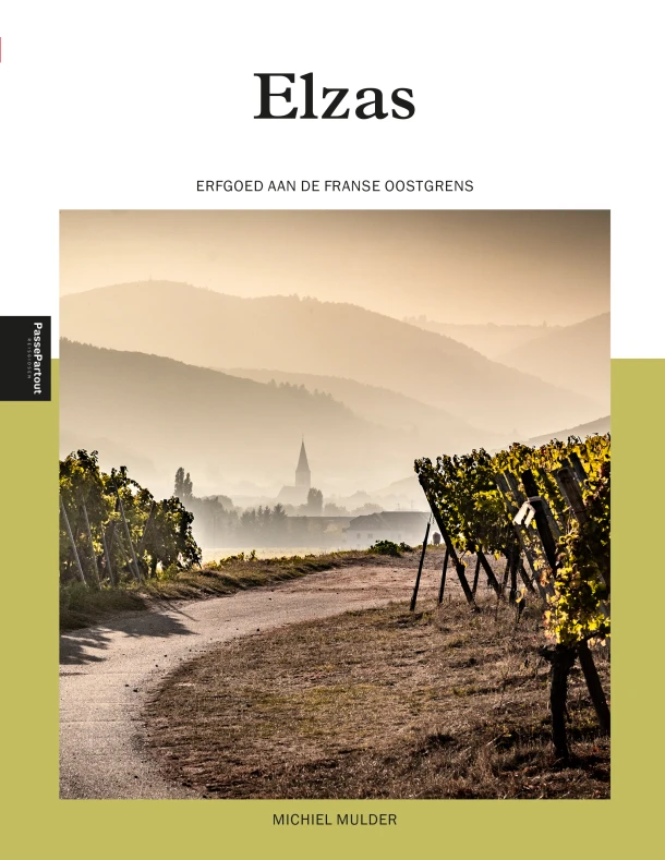 Elzas – Michiel Mulder – boek cover