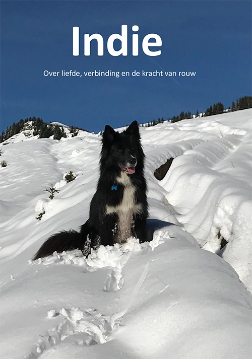 Indie – Petrus Dispa – boek cover