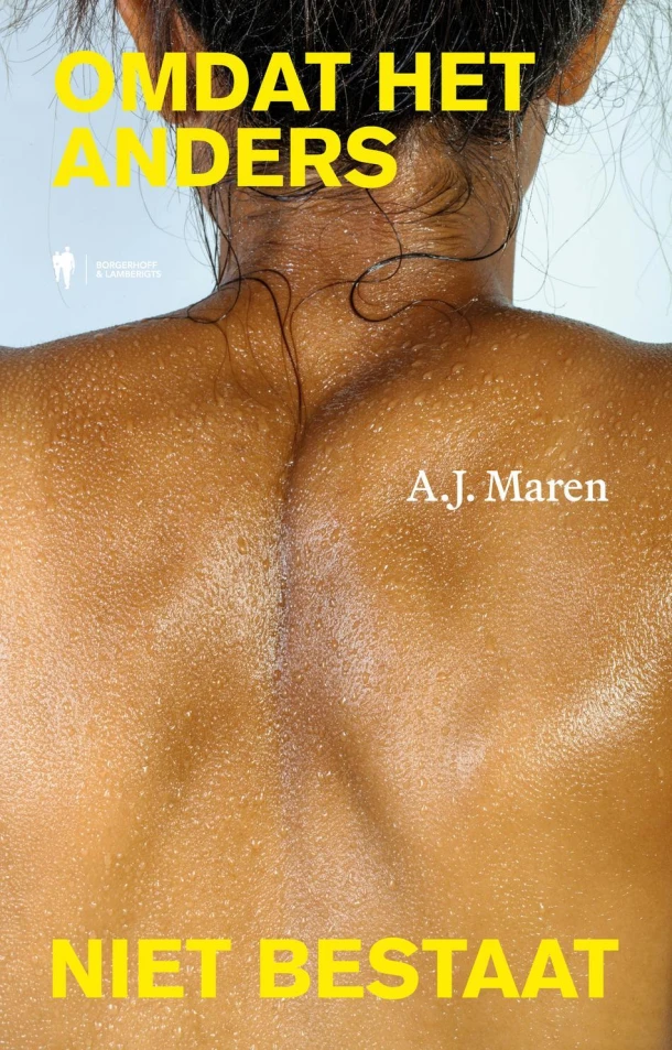 Omdat het anders niet bestaat – A.J. Maren – boek cover