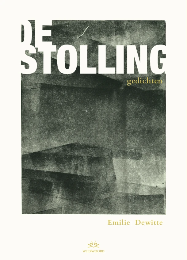 De stolling – Emilie Dewitte – boek cover
