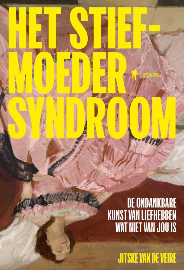 Het stiefmoedersyndroom – Jitske Van de Veire – boek cover