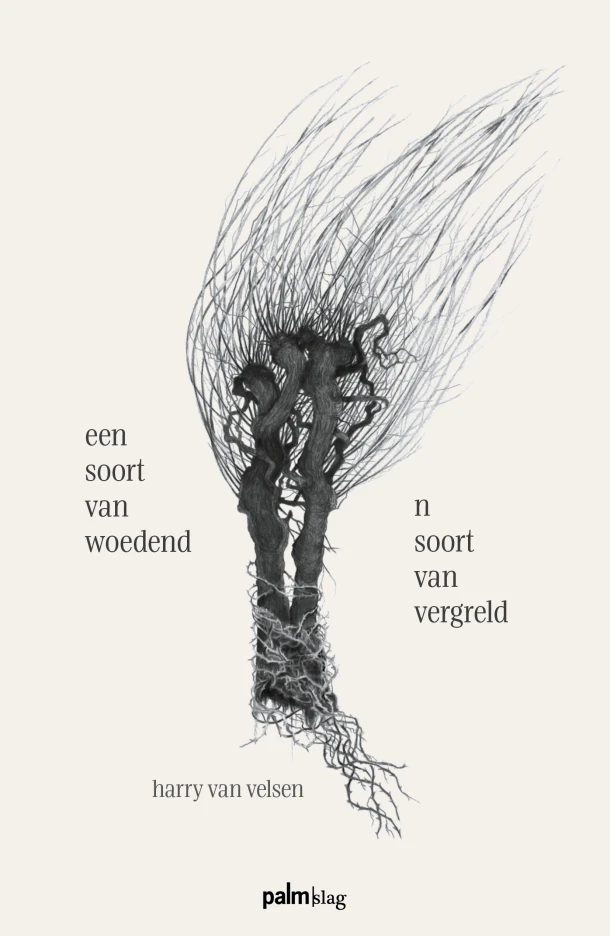 een soort van woedend - n soort van vergreld – Harry van Velsen – boek cover