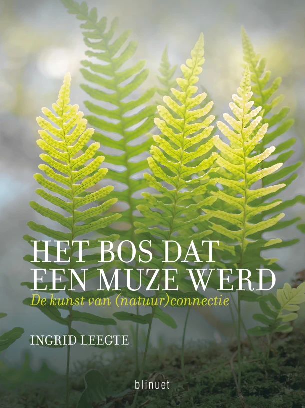 Het bos dat een muze werd – Ingrid Leegte – boek cover