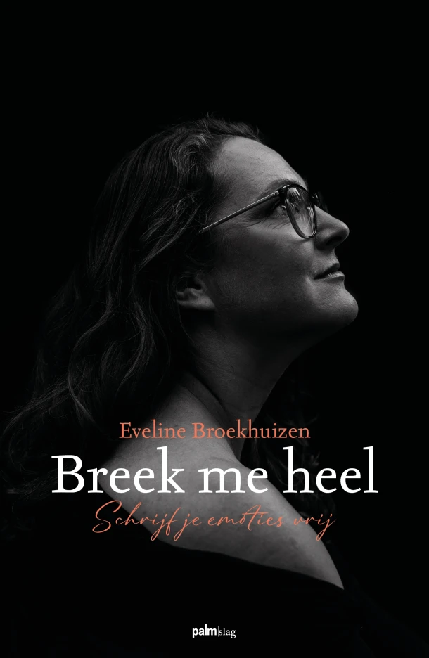 Breek me heel – Eveline Broekhuizen – boek cover