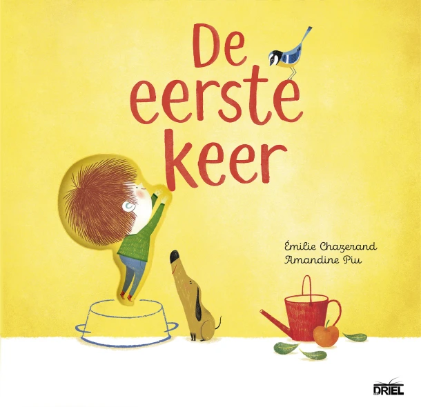 De eerste keer – boek cover