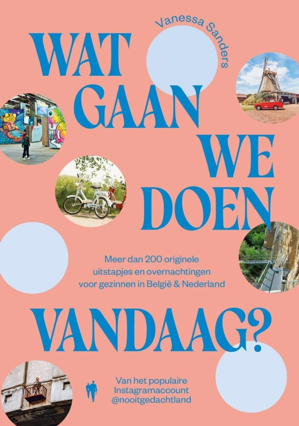 Wat gaan we doen vandaag? – Vanessa Sanders – boek cover