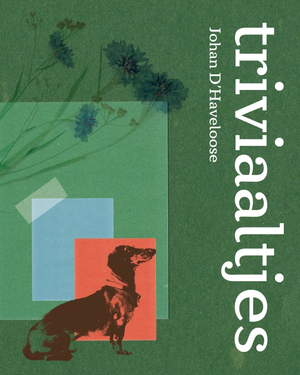 Triviaaltjes – Johan D‘Haveloose – boek cover
