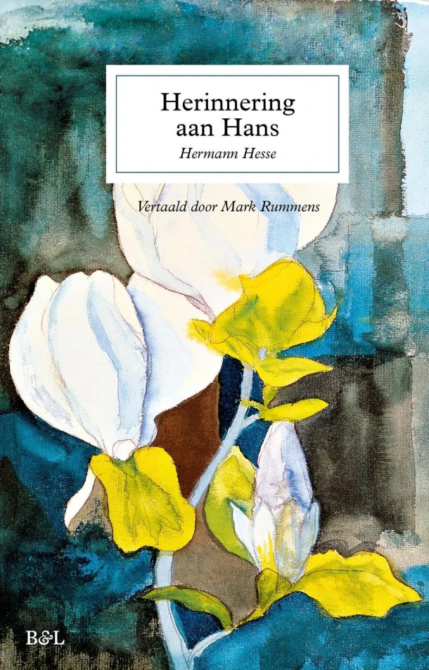 Herinneringen aan Hans – Hermann Hesse – boek cover