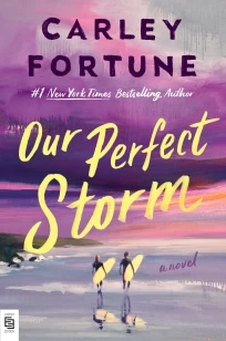 Our Perfect Storm – Carley Fortune – boek cover