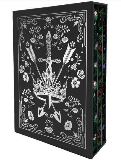 Lauren Roberts: Powerless Trilogy Notebook Boxed Set (Set of 3) – Insight Editions – boek cover