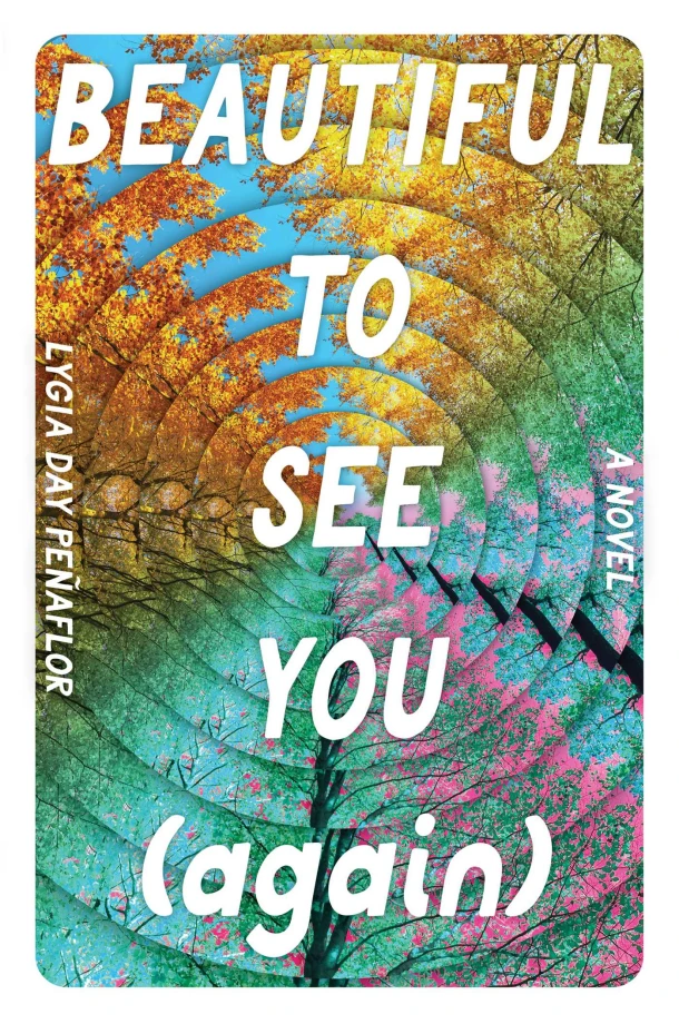 Beautiful to See You (Again) – Lygia Day Peñaflor – boek cover